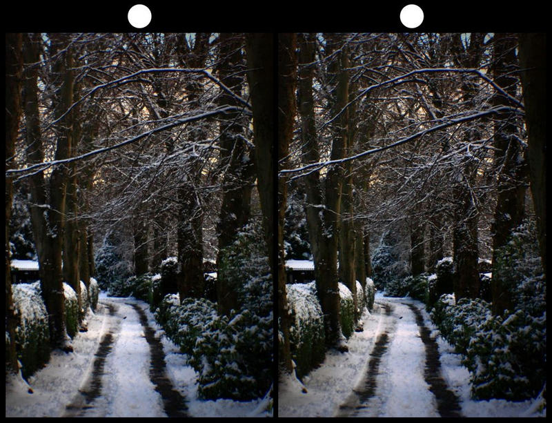 Illustration for article titled Shooting Challenge Stereogram Gallery 1